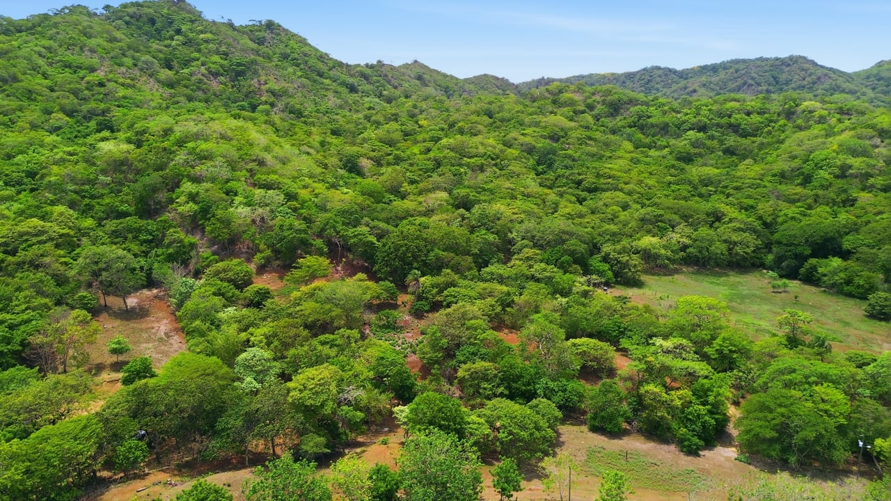 3.4 Acres of Quiet Country Living | 12 minutes from the Beach - Tempate 