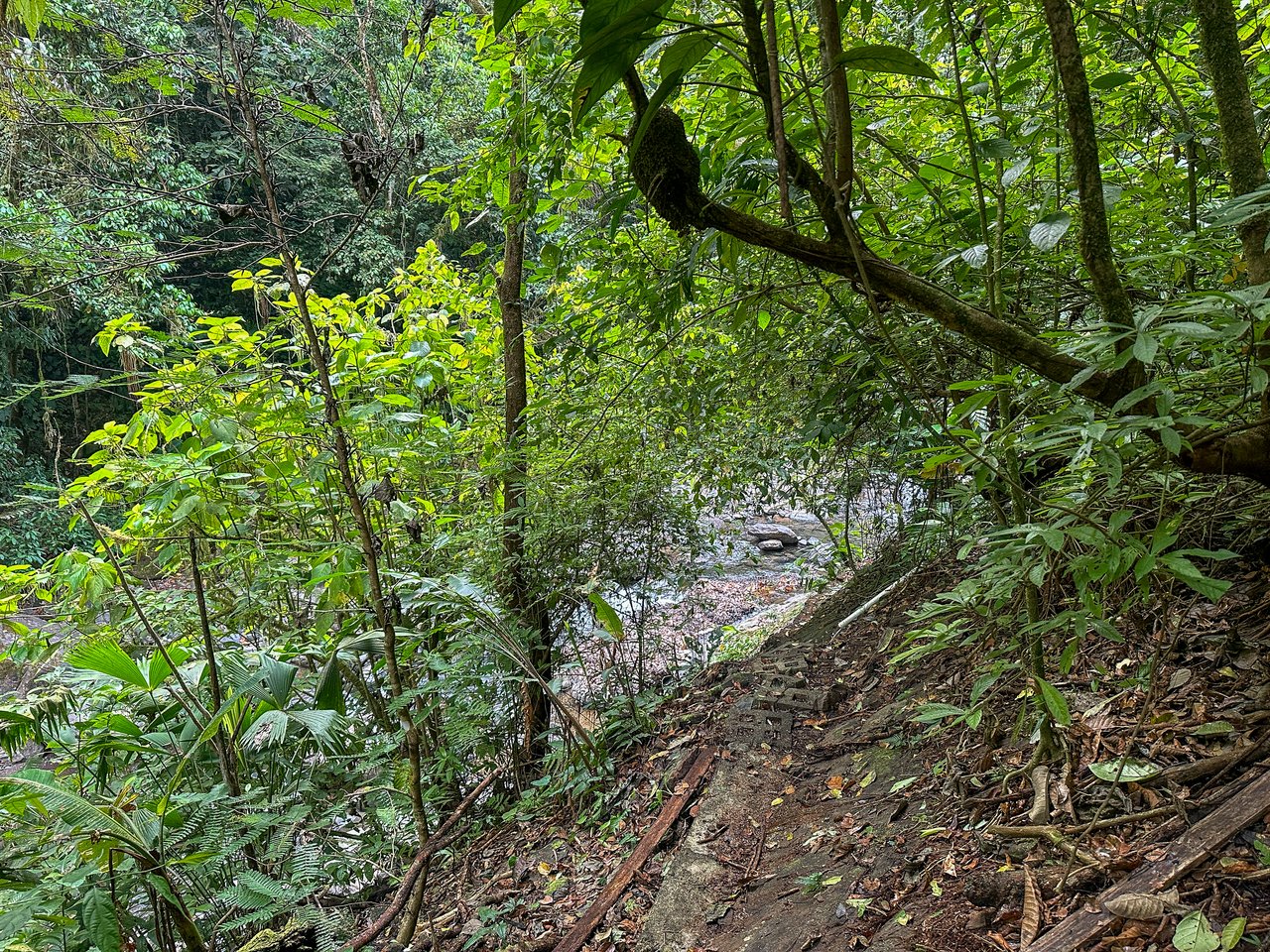 Jungle, Mountain & Valley View Lot with Two Large Plantels, Bordering a Crystal Mountain River with Swimholes & a Waterfall