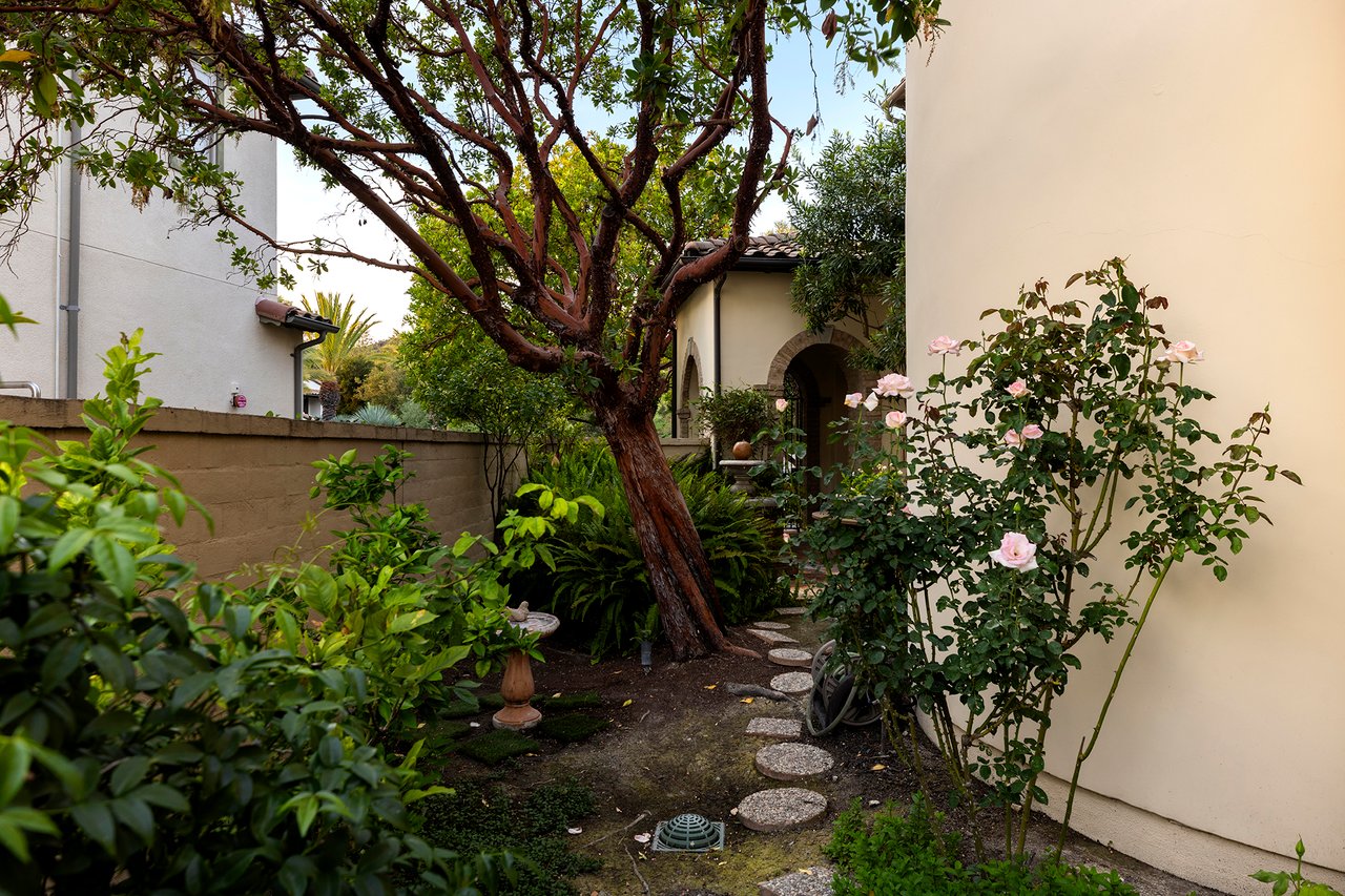 19 Calle Estilo Nuevo