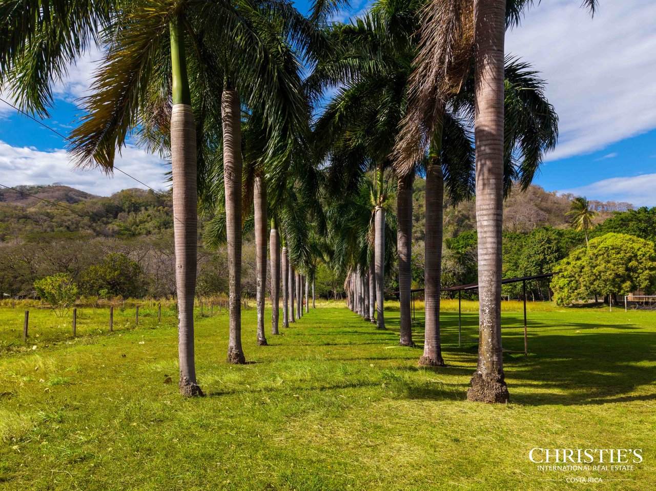 Finca Austria - A 149-Acre Private Estate with Residences, Infrastructure & Expansion Potential.