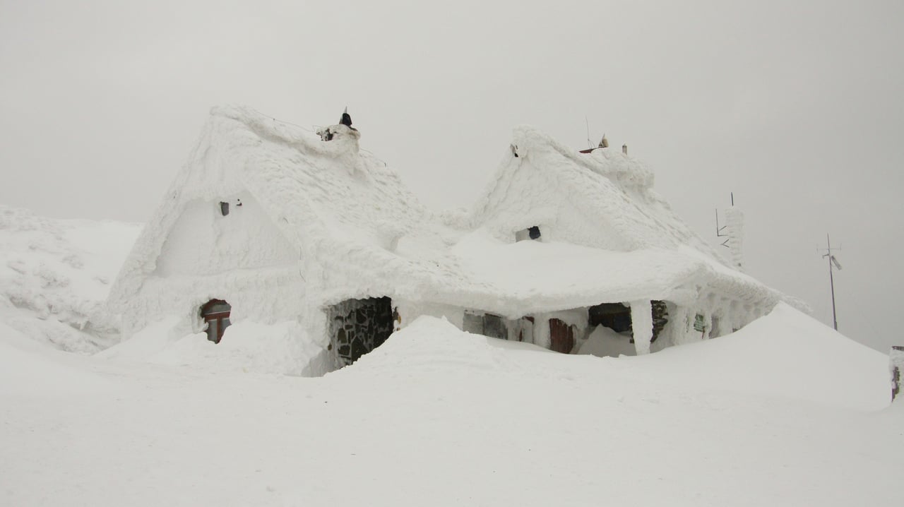 The Importance of Snow Removal for Houses