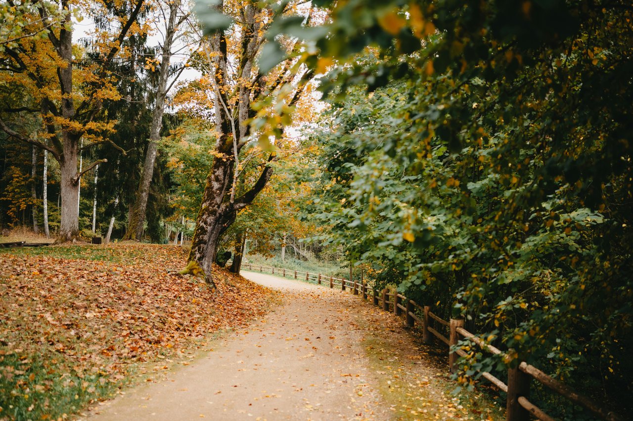 Woodforest