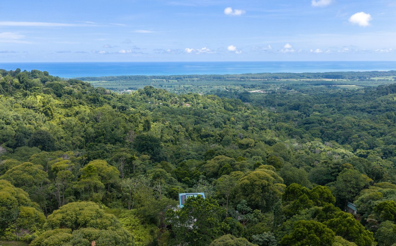 Luxury Ocean View Homestead | A Self-Sufficient Tropical Estate