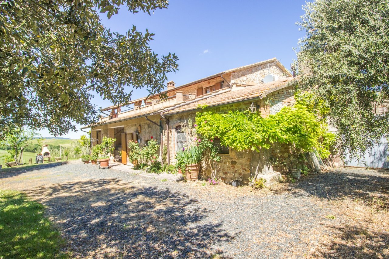 Organic Agriturismo in Cinigiano