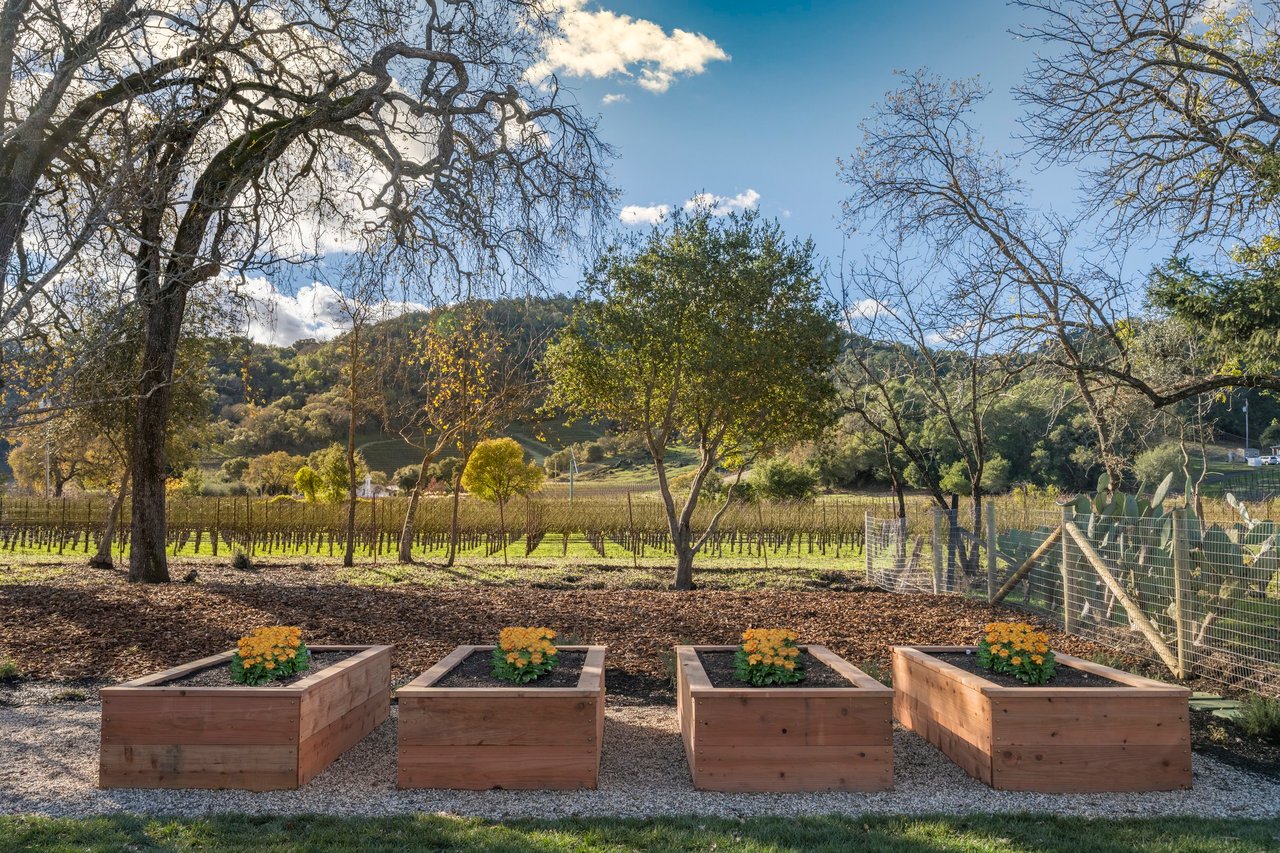 Darms Lane, Napa Valley