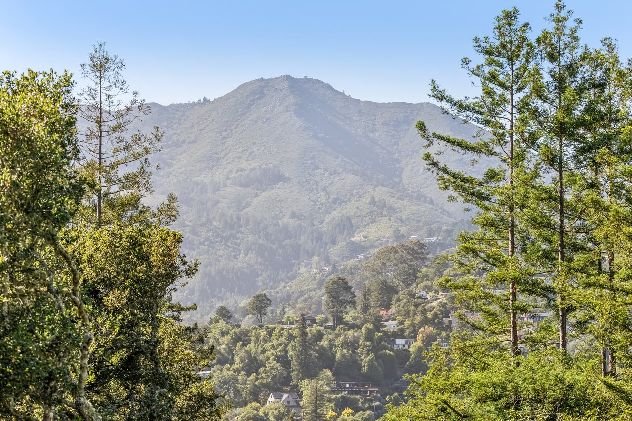 183 Molino Avenue, Mill Valley
