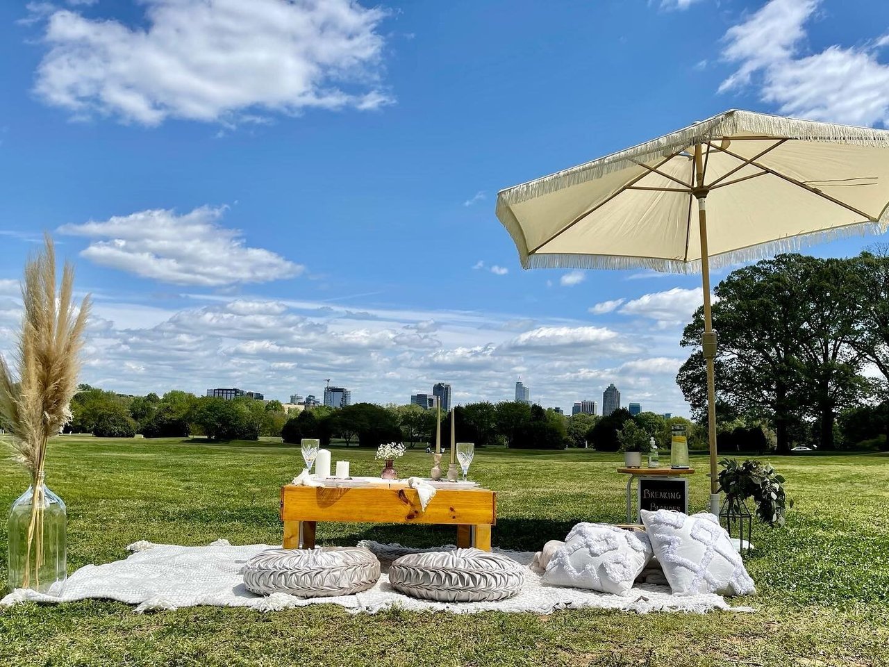 Luxe Pop Ups, A Luxury Picnic Experience in Raleigh