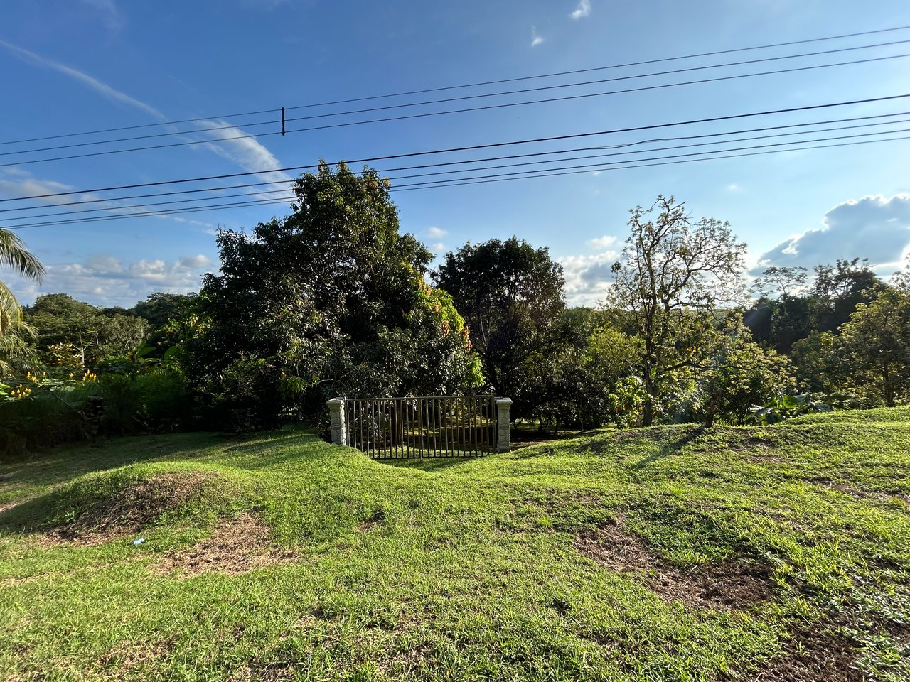 Commercial & Residential Property in Punta Mala with Producing Fruit Trees