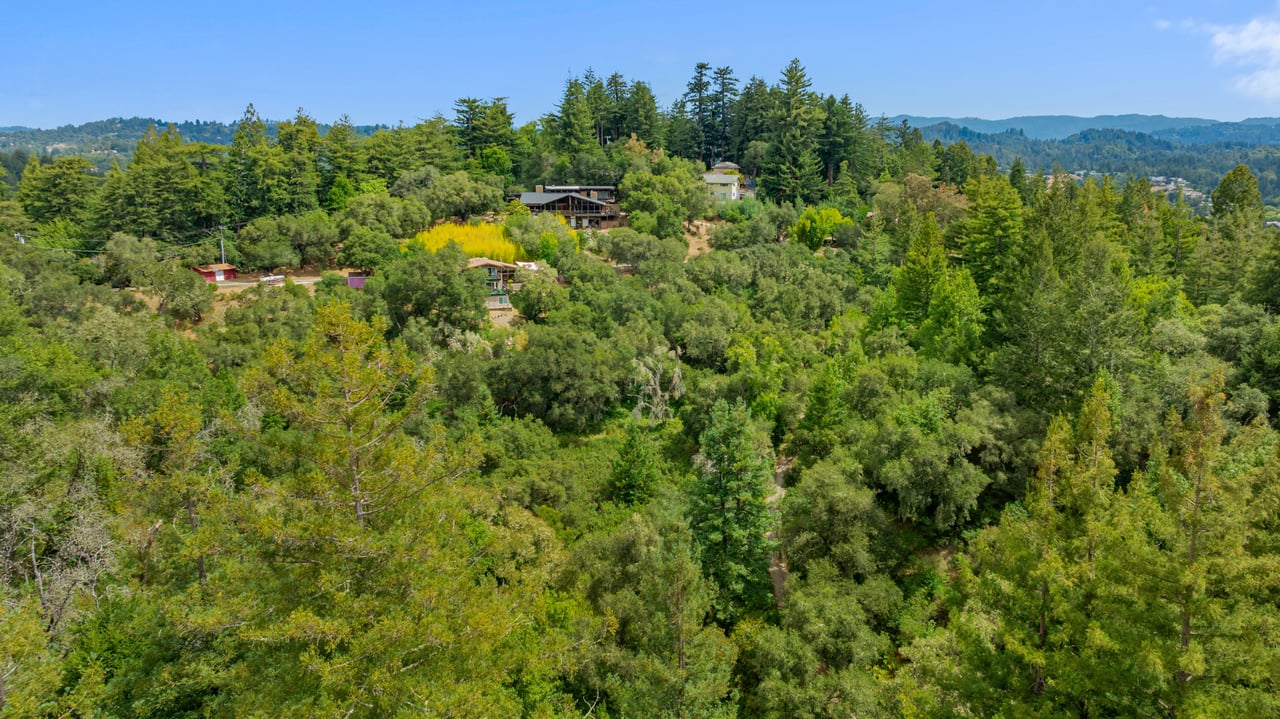 Rare Redwood Acreage in Scotts Valley