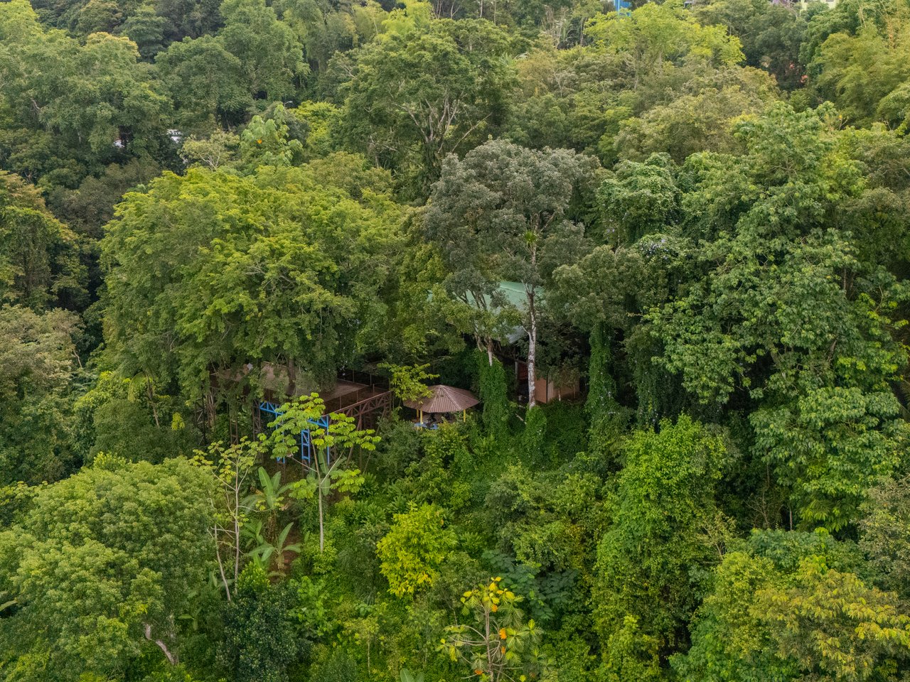 Where the Journey Begins | Private Jungle Estate at Nauyaca Waterfalls