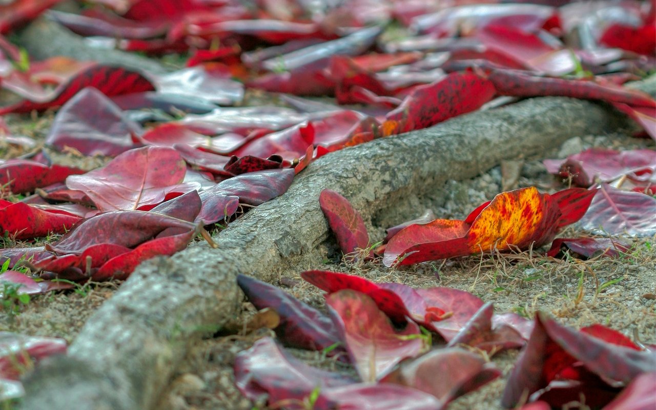 Why Local Roots Are So Vital to East Bay Real Estate Success