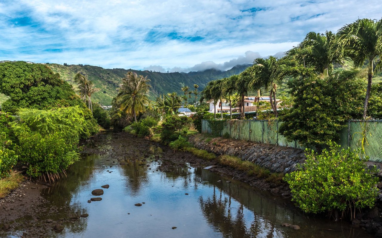 A shallow stream winds through tropical greenery and homes beneath the green mountain ridges of Aina Haina.