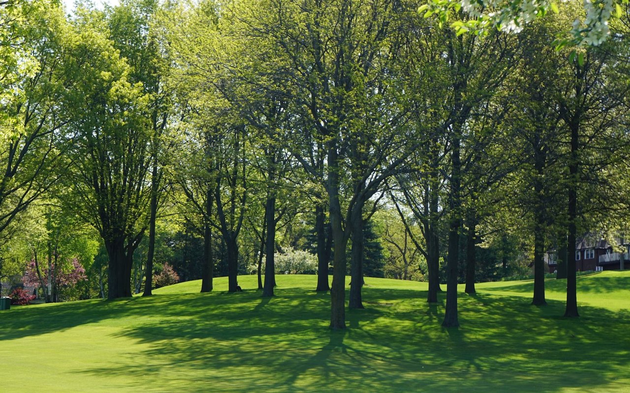 A Guide to Waco, TX, Parks