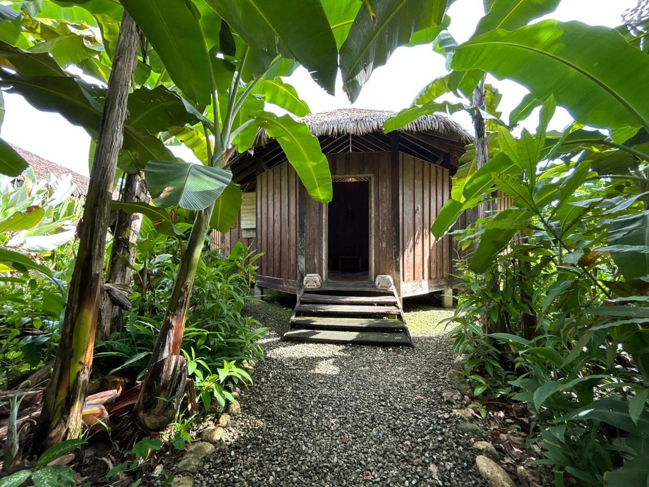 Sustainable Conservation Retreat, Osa, Puntarenas