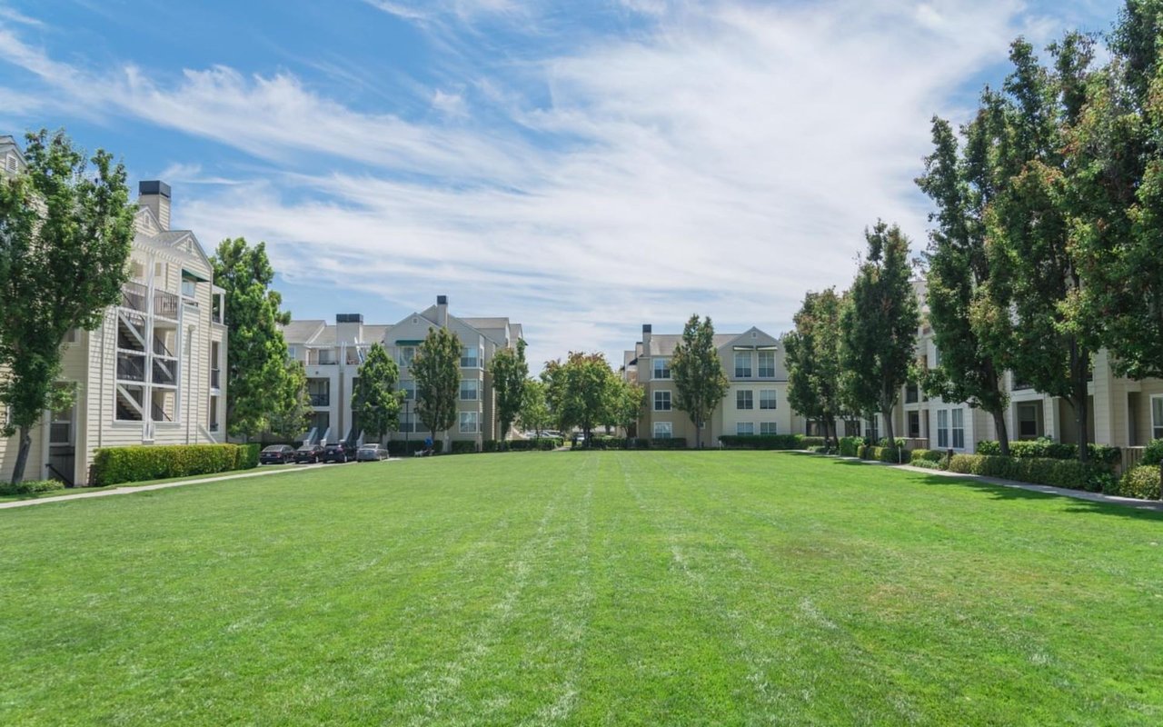 Residential courtyard with a broad green lawn surrounded by multi-story homes and mature trees.