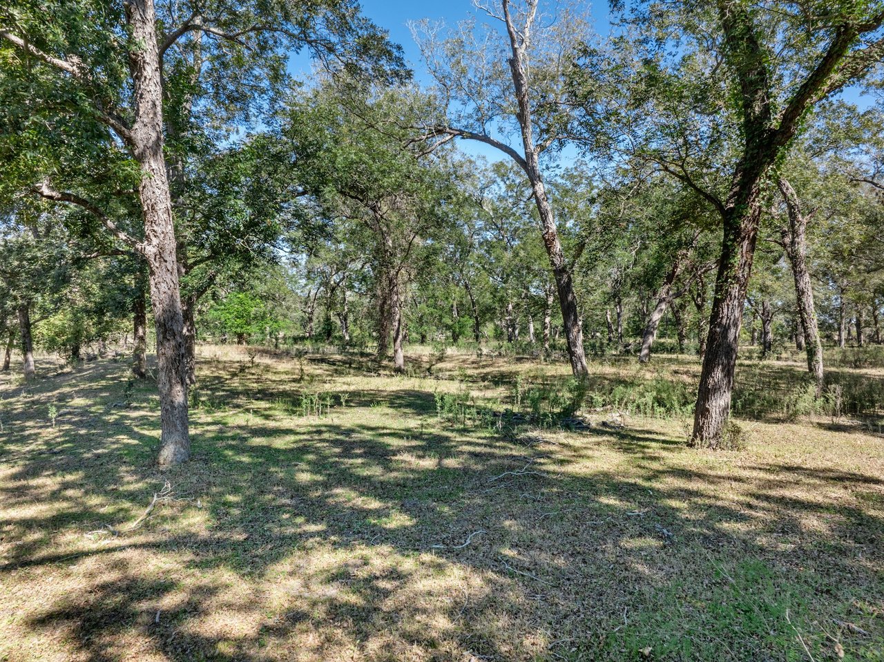 +/- 200 Acre Guadalupe Riverfront Ranch For Sale!