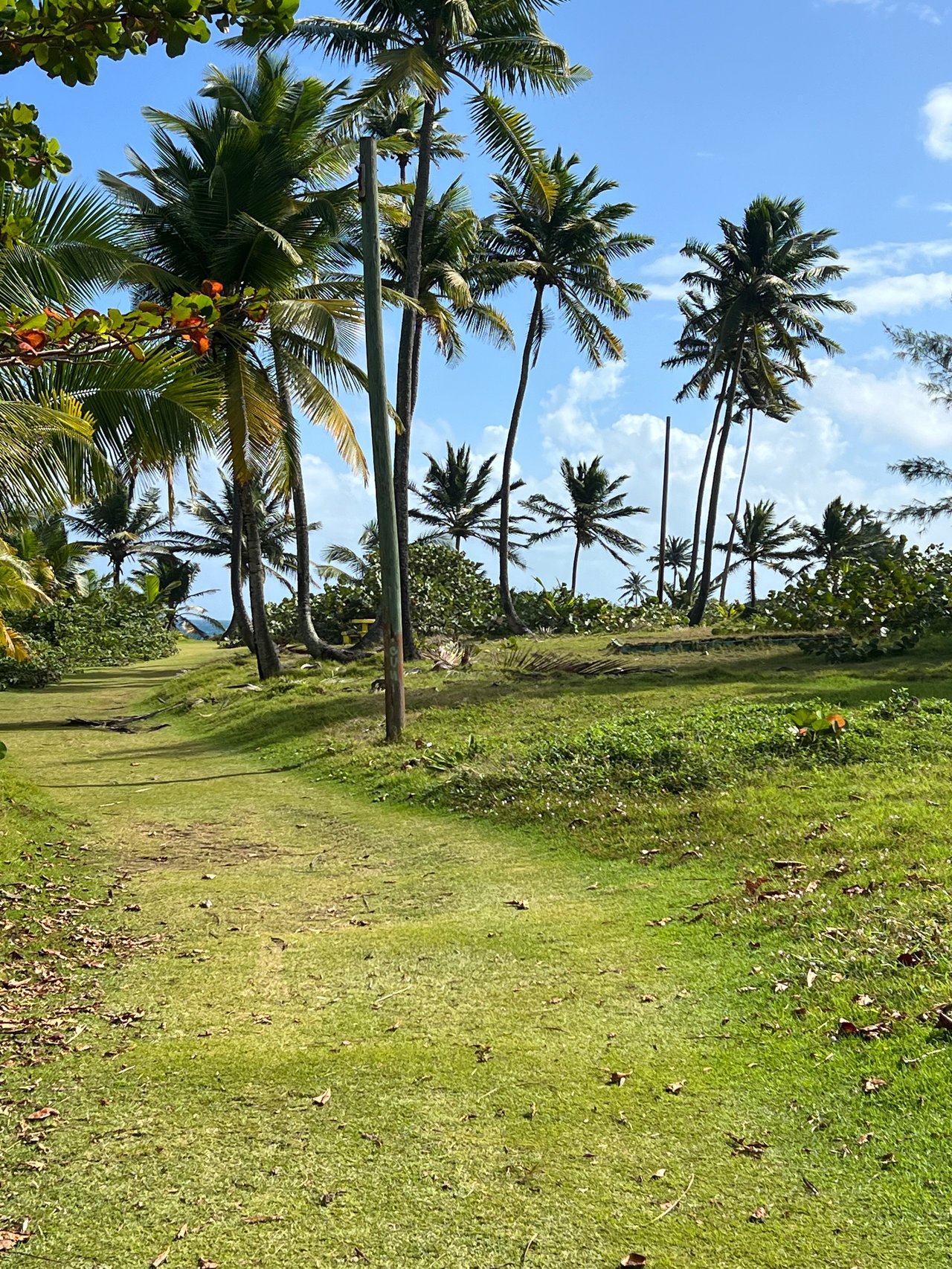Treasure Point
