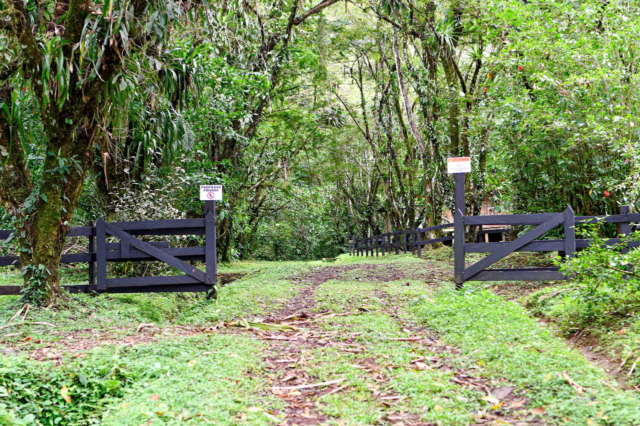 Finca Macadamia | 154-acre Rainforest Paradise with two Houses and Trails!