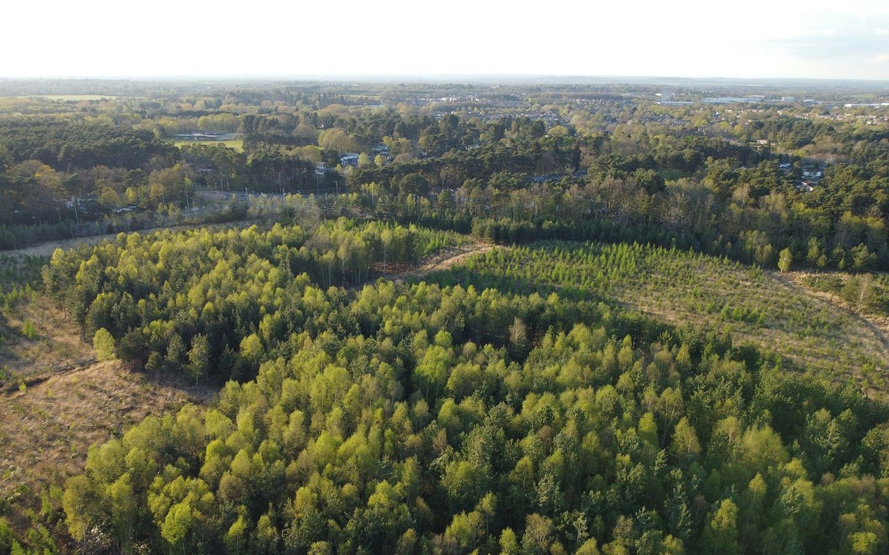 Hyland Ridge