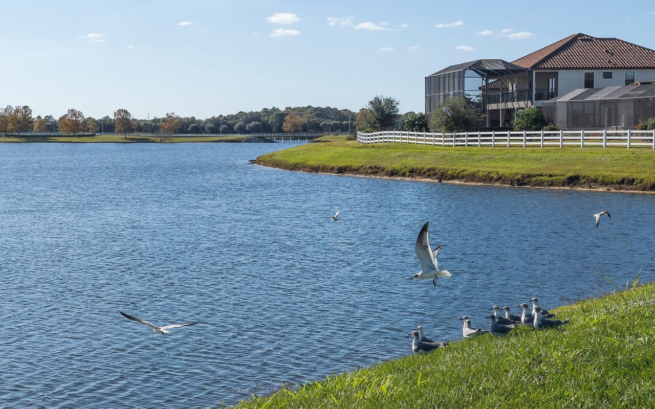 Understanding HOA & CDD Fees in Lakewood Ranch Communities