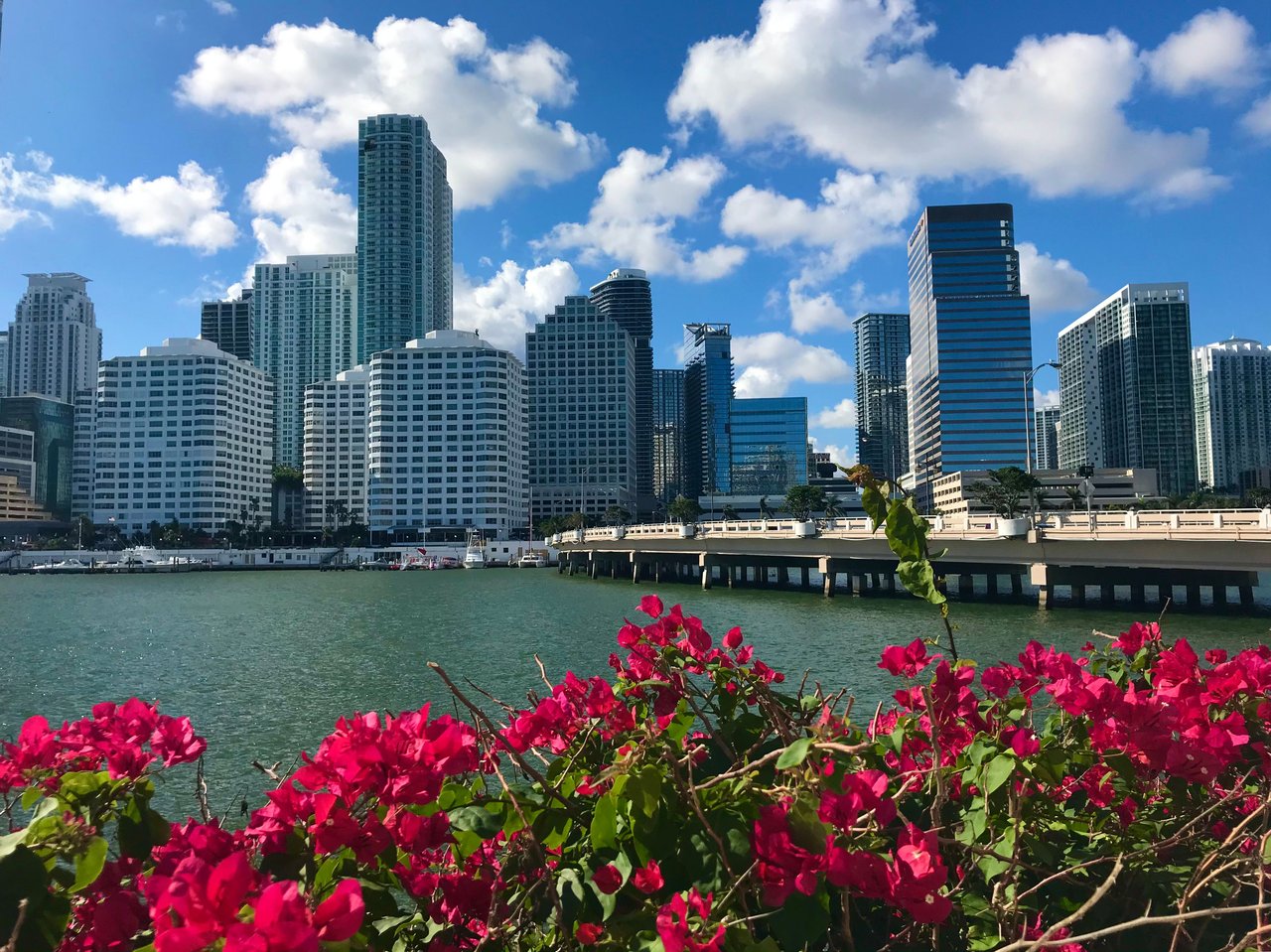Miami Neighborhoods Where Locals Actually Live