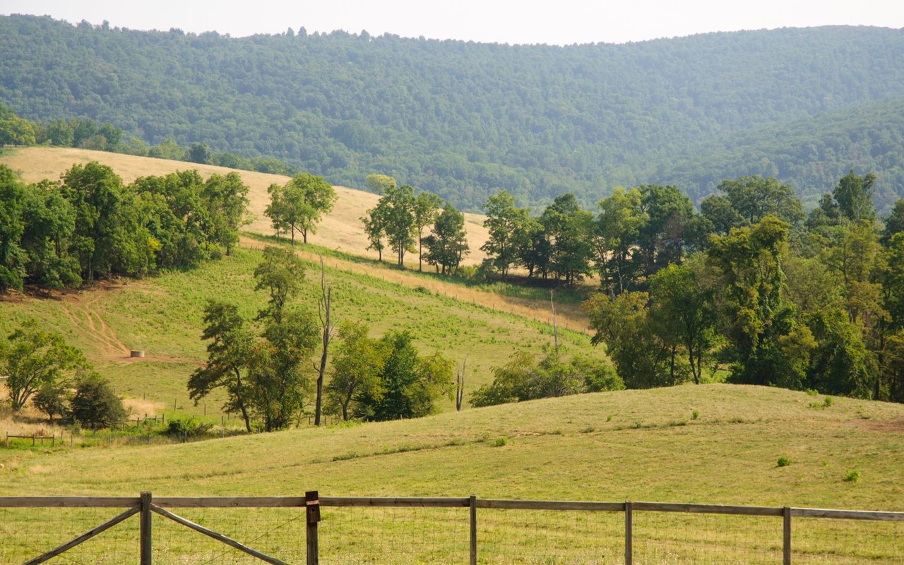 Fauquier