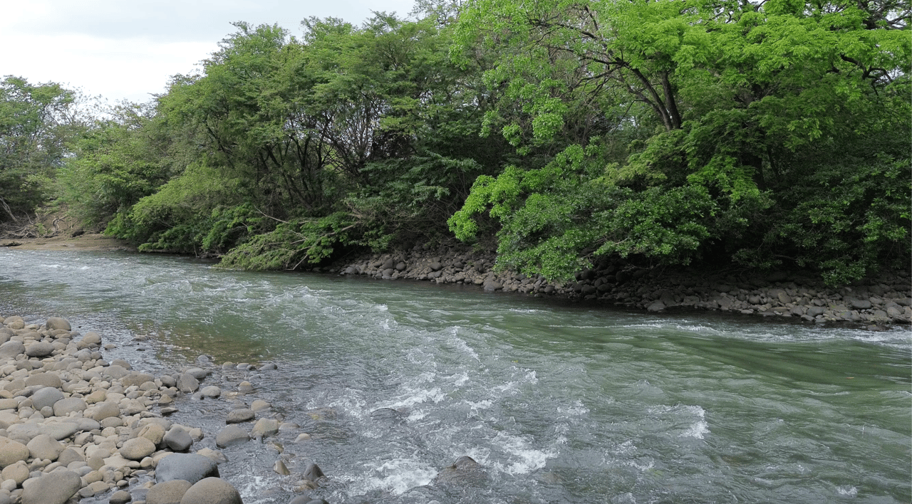 Riverside 7-acre Parcel with Well and Fruit Trees