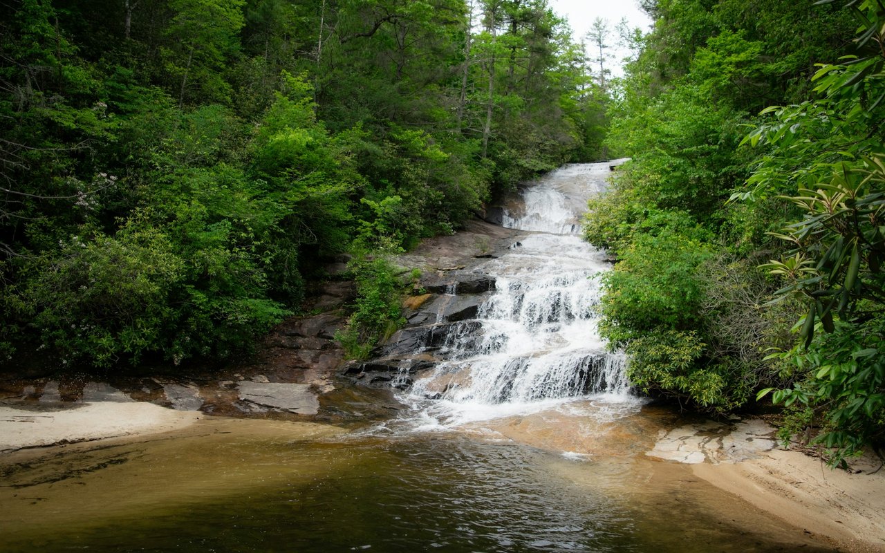 Brevard