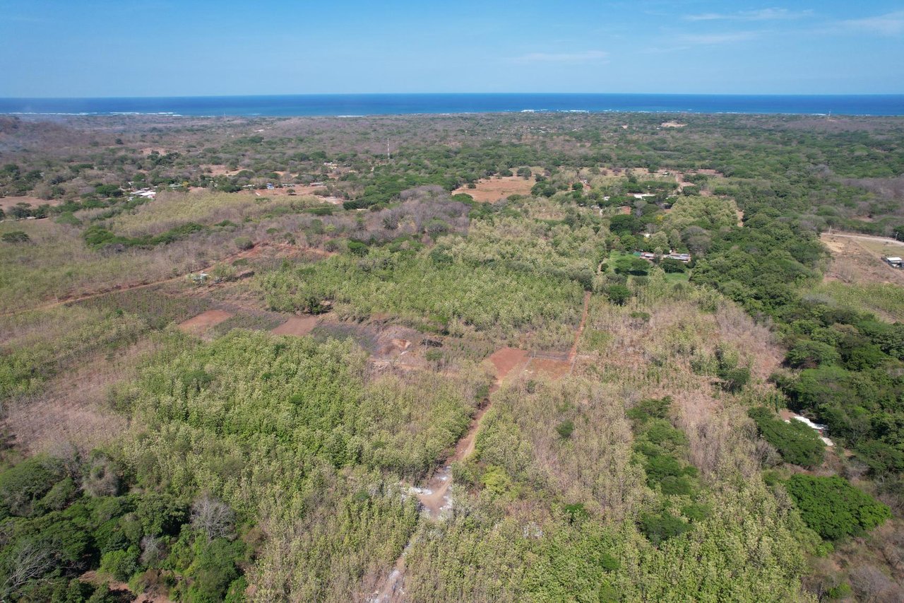 Flat Mixed-Use Land for Sale | Lot #8: Development Opportunity Near Avellanas