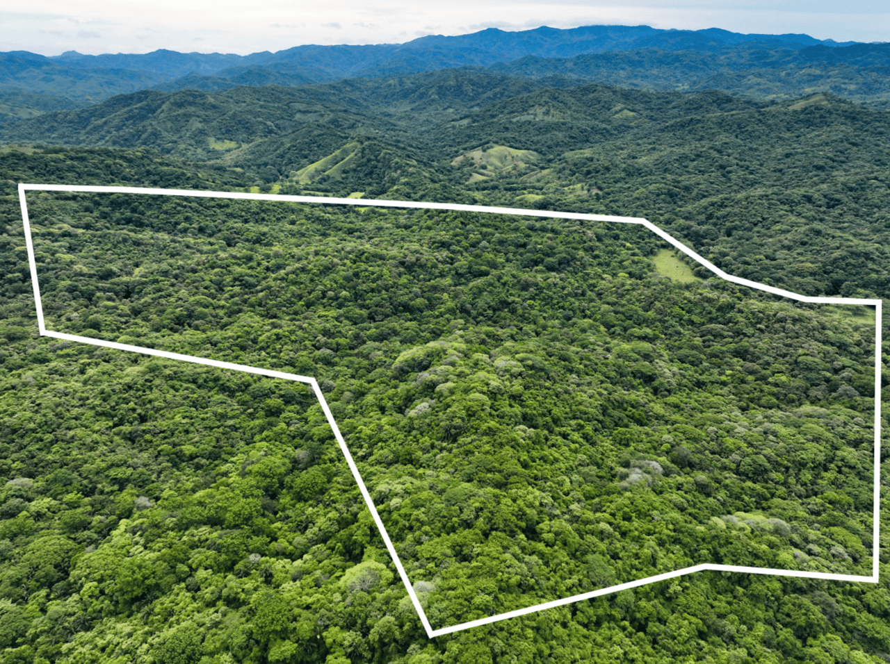 Eco Sanctuary In Playa Marbella - 250 Acre Riverfront