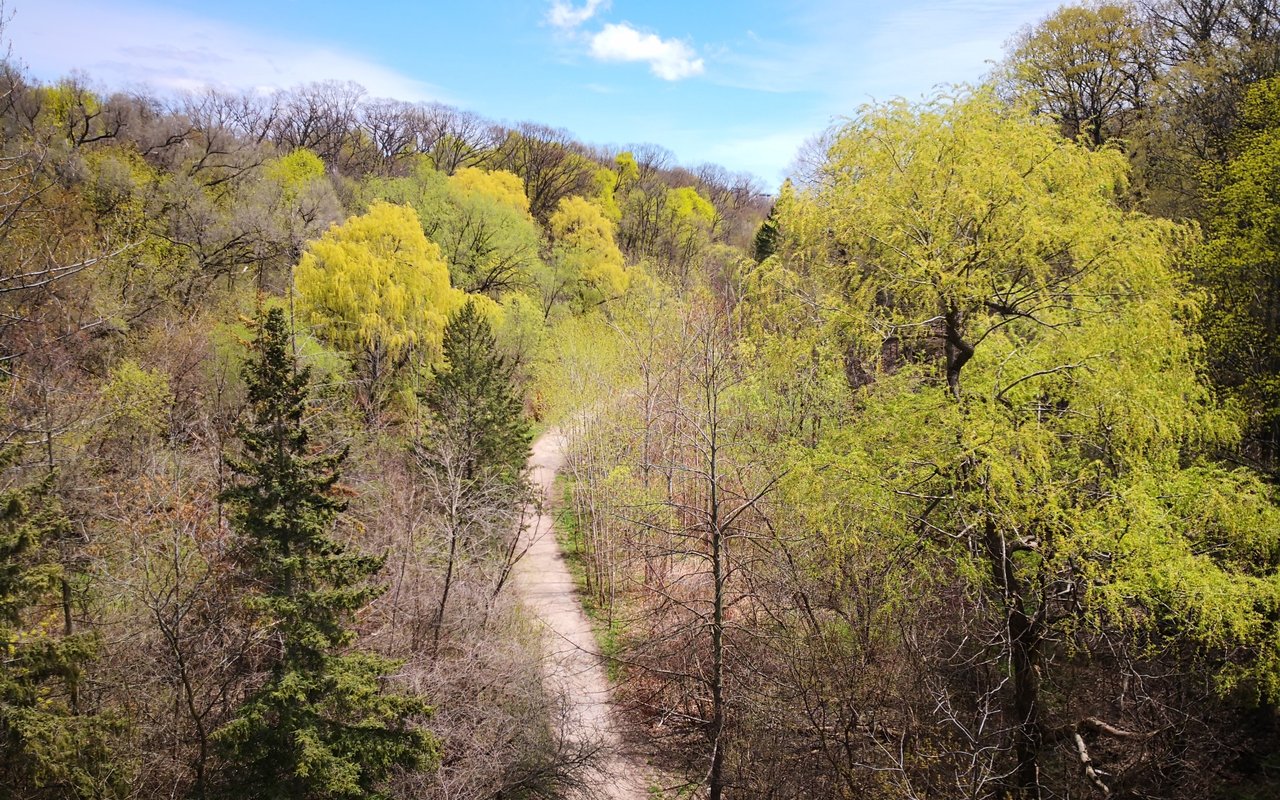 Cedarvale