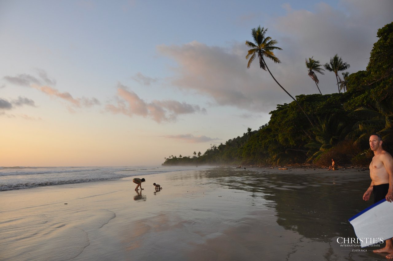 Jungle and Ocean Architectural Masterpiece