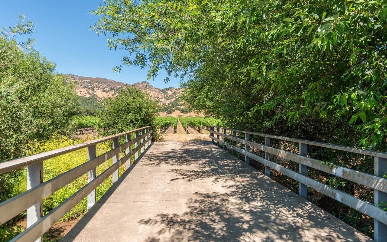 Stag's Leap, Napa Valley