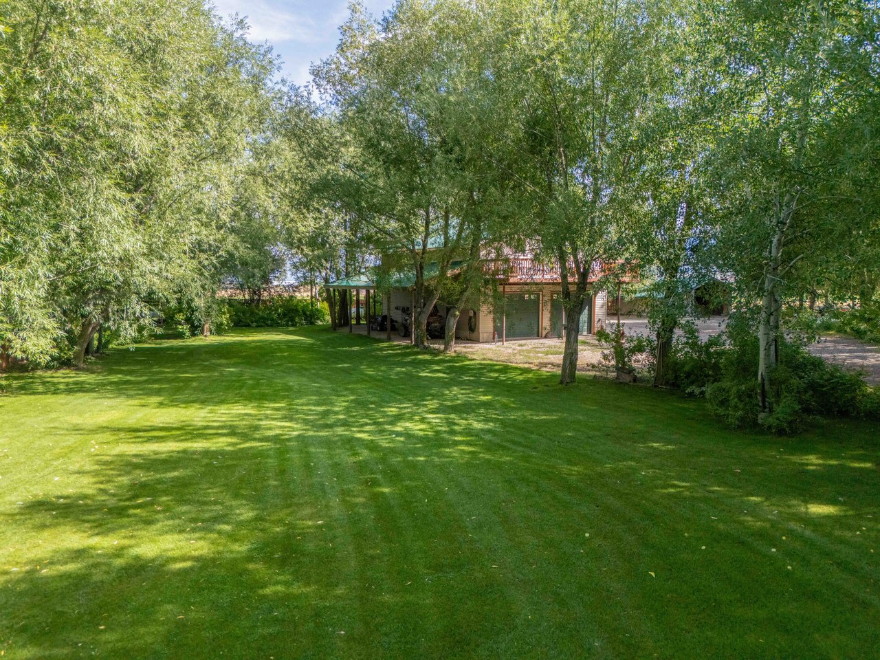 141 COUNTY ROAD 184