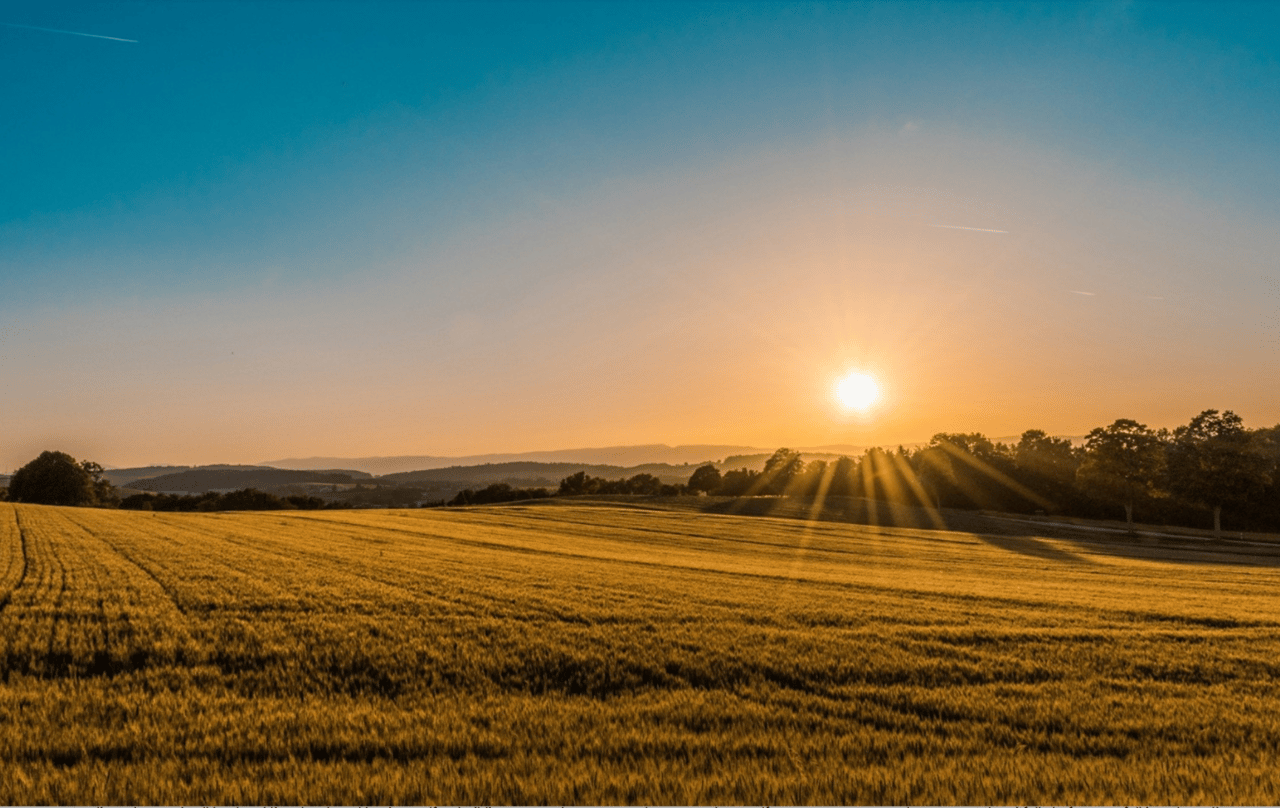“What’s Land Going for These Days?” — The Truth About Price Per Acre