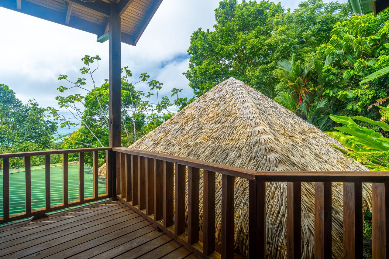 VILLA KRISTINA MARIA - 3.84 ACRES - PERLA DE BALLENA ESTATES