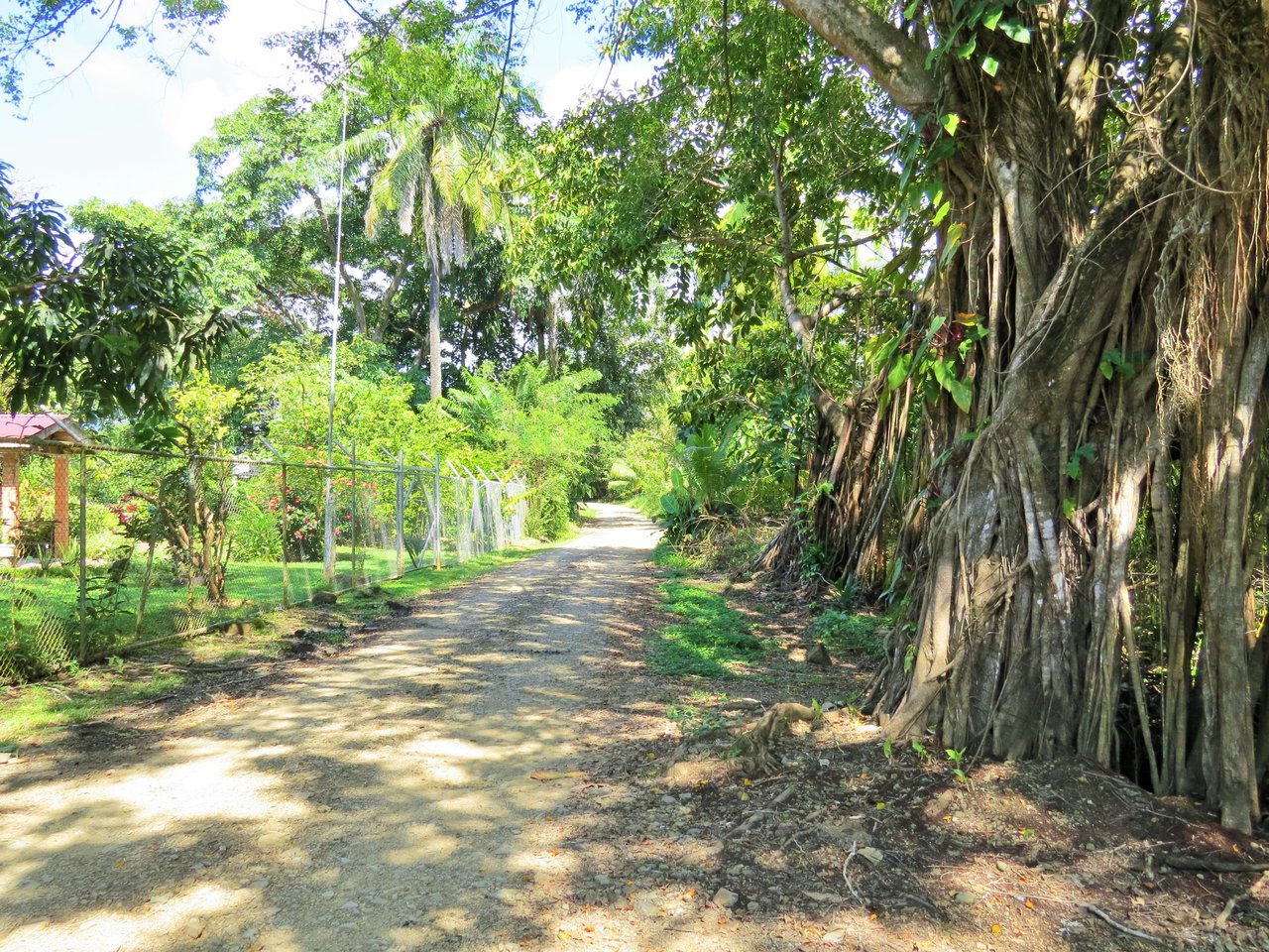 Fully equipped 4 Unit Apartment/Hotel complex 70 meters from the entrance to world-famous Marino Ballena National Park