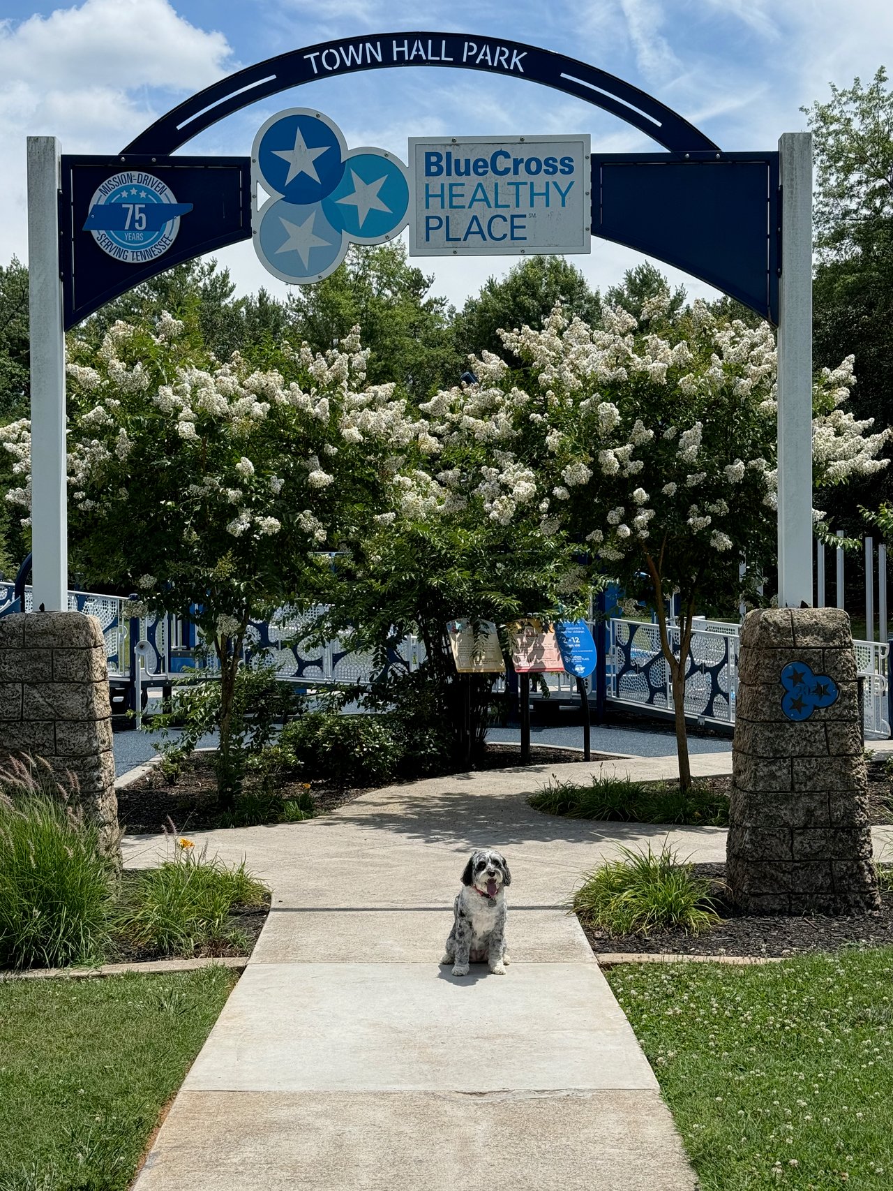 Molly's Favorite Farragut Parks