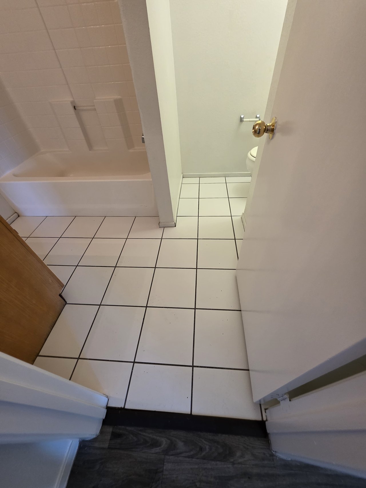 3849 Soda Springs Drive - 1