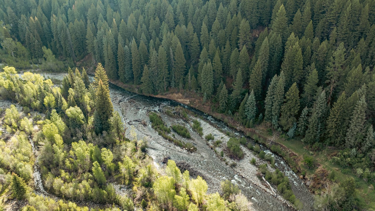 Rocky river winds through dense evergreen forest and lighter trees.