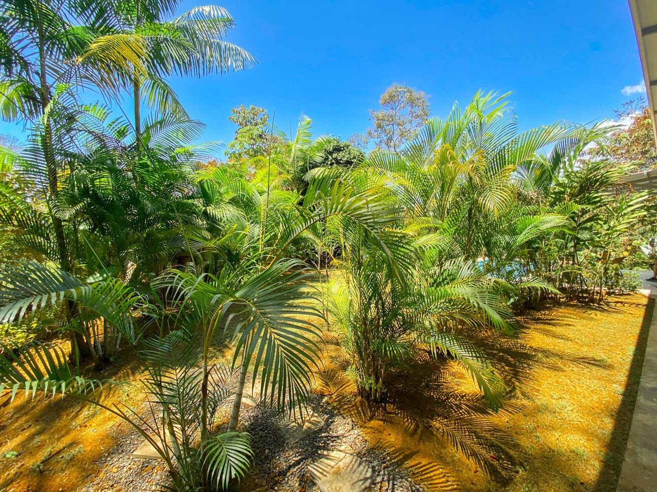 Uvita Jungle Home for Sale | Private Creek Lot Near Marino Ballena