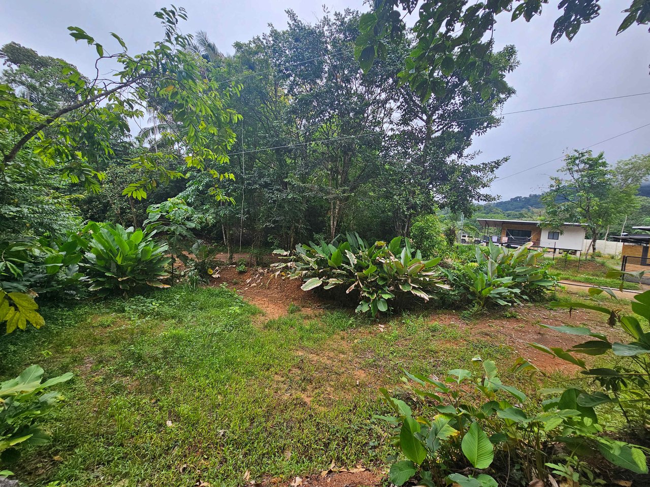 Discover Your Dream in Uvita's Prime Real Estate