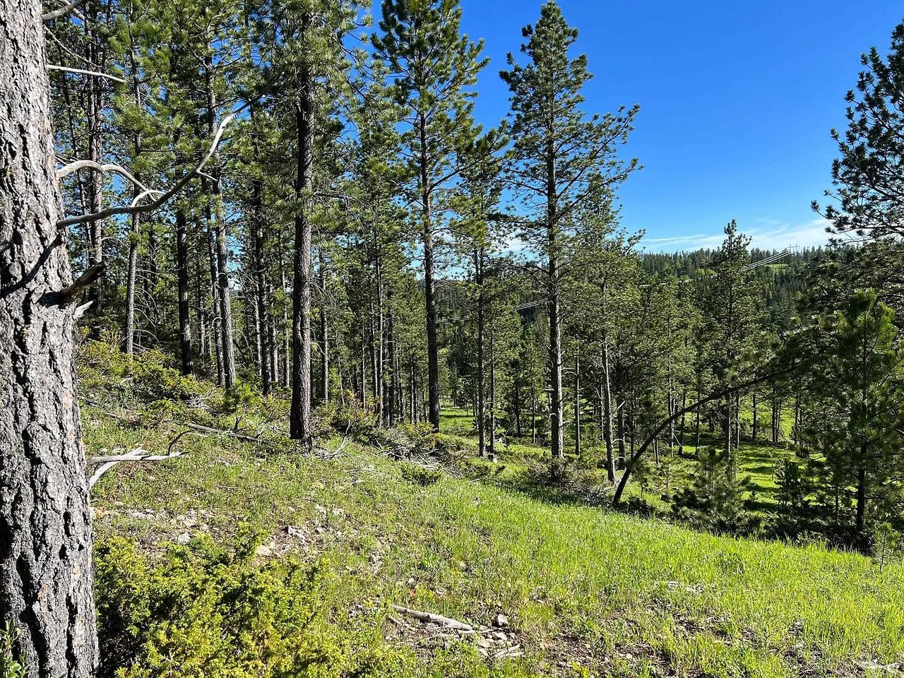 Lot 6 Boles Canyon Rd