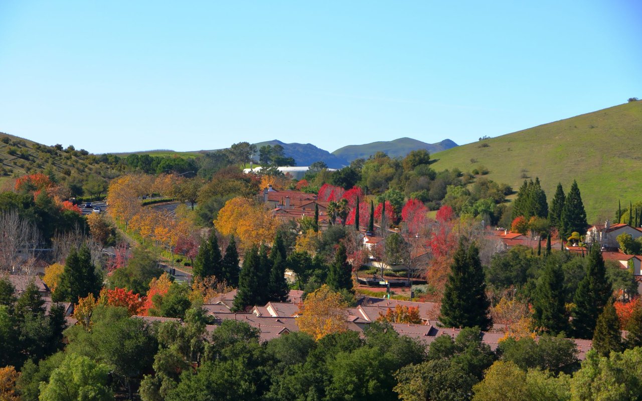 Walnut Creek