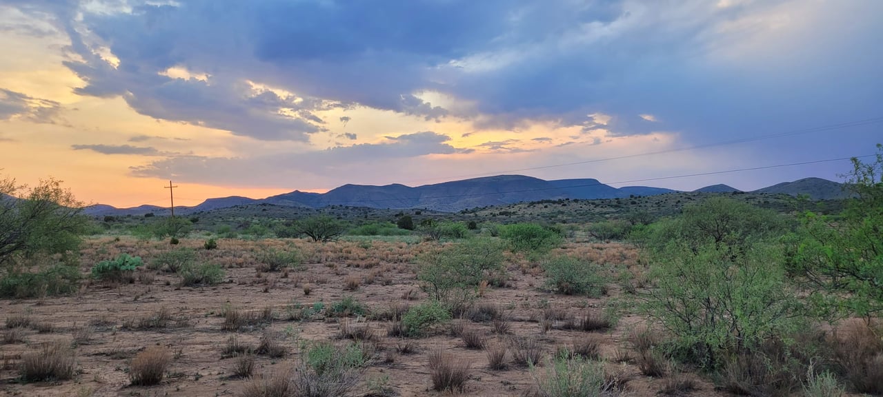 Blue Bell Quarter Horses