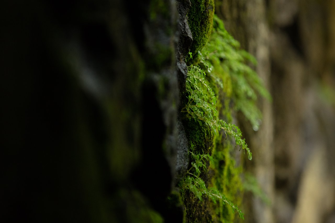  Punta Sabana & Mar Serena