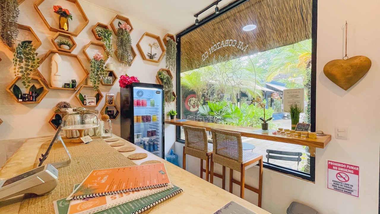 Juice Bar for Sale in Ojochal, Costa Rica | Turnkey Business Opportunity