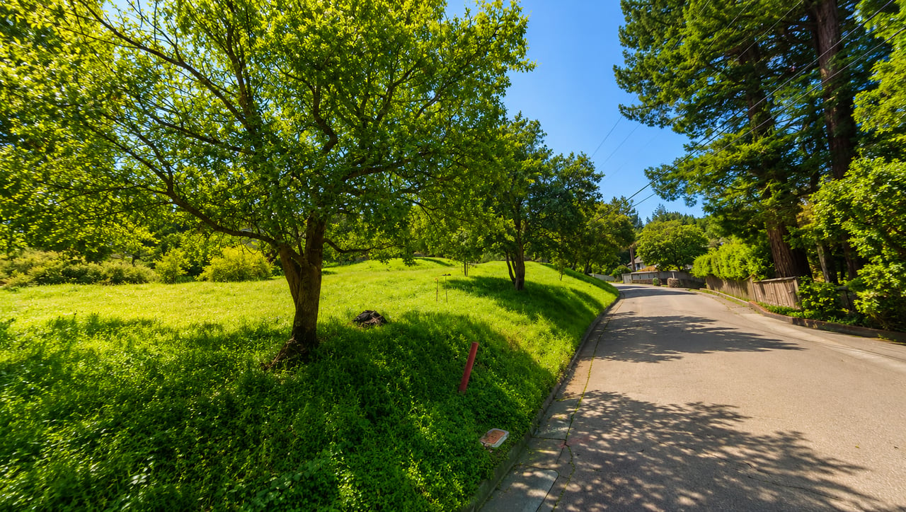 Edgewood Avenue Area