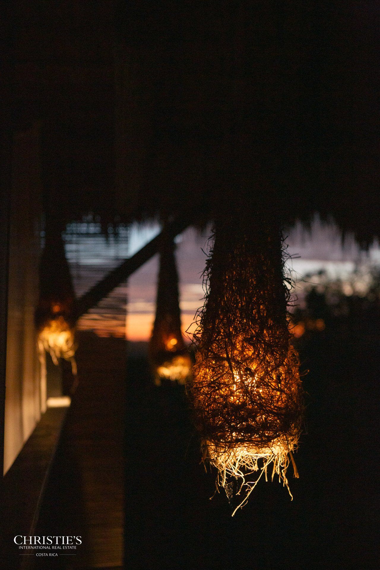 Villa Animales – Luxury Jungle Sanctuary