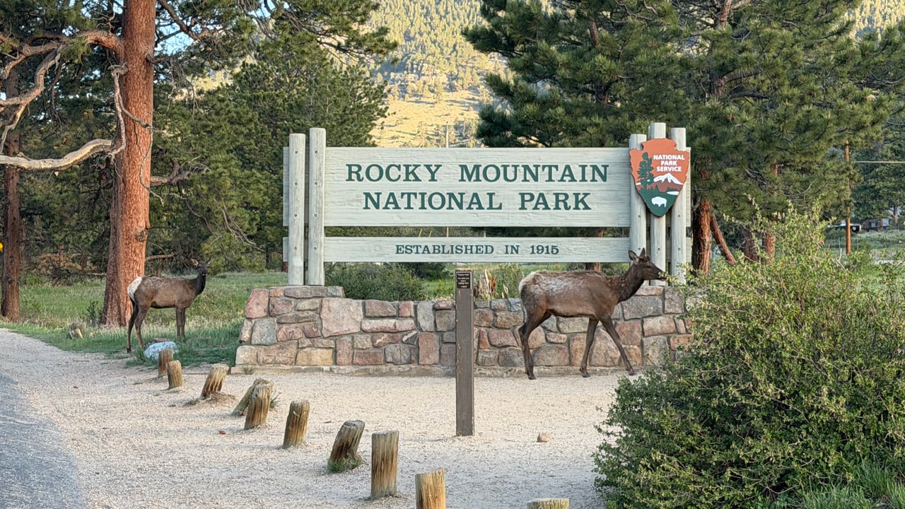 Into the Wild: Discovering Rocky Mountain National Park with Monica